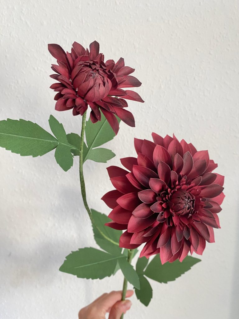 Dahlien