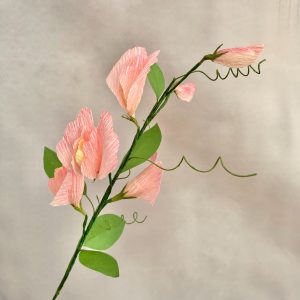 Handgemachte Erbsenblume aus Krepppapier