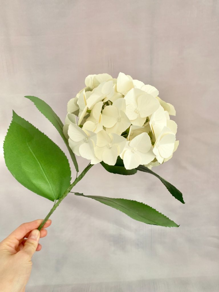 Hortensie_aus_Papier_Tonzeichenpapier