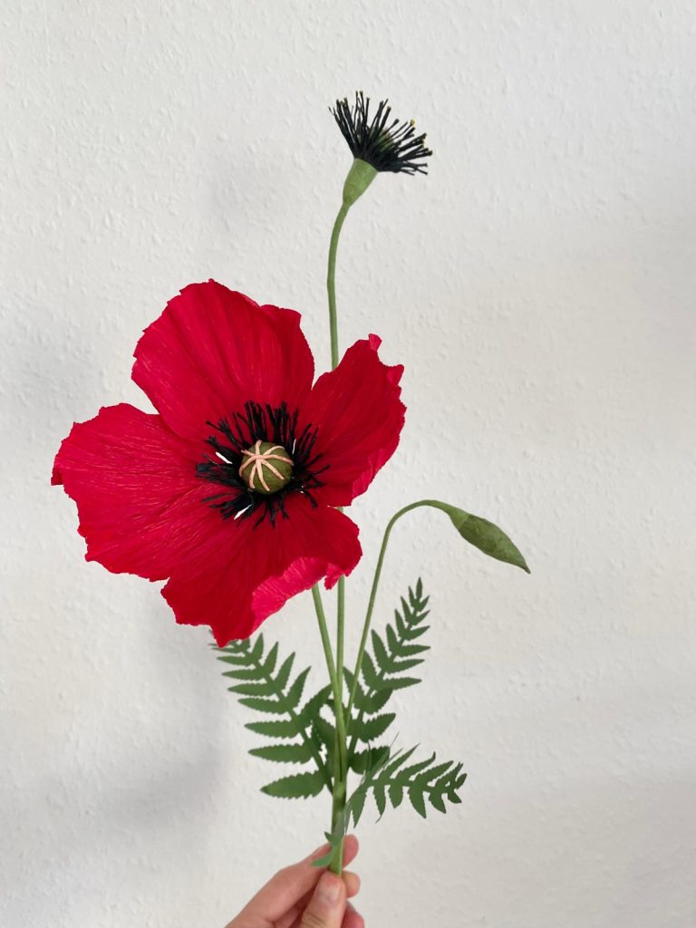 Rot (1)