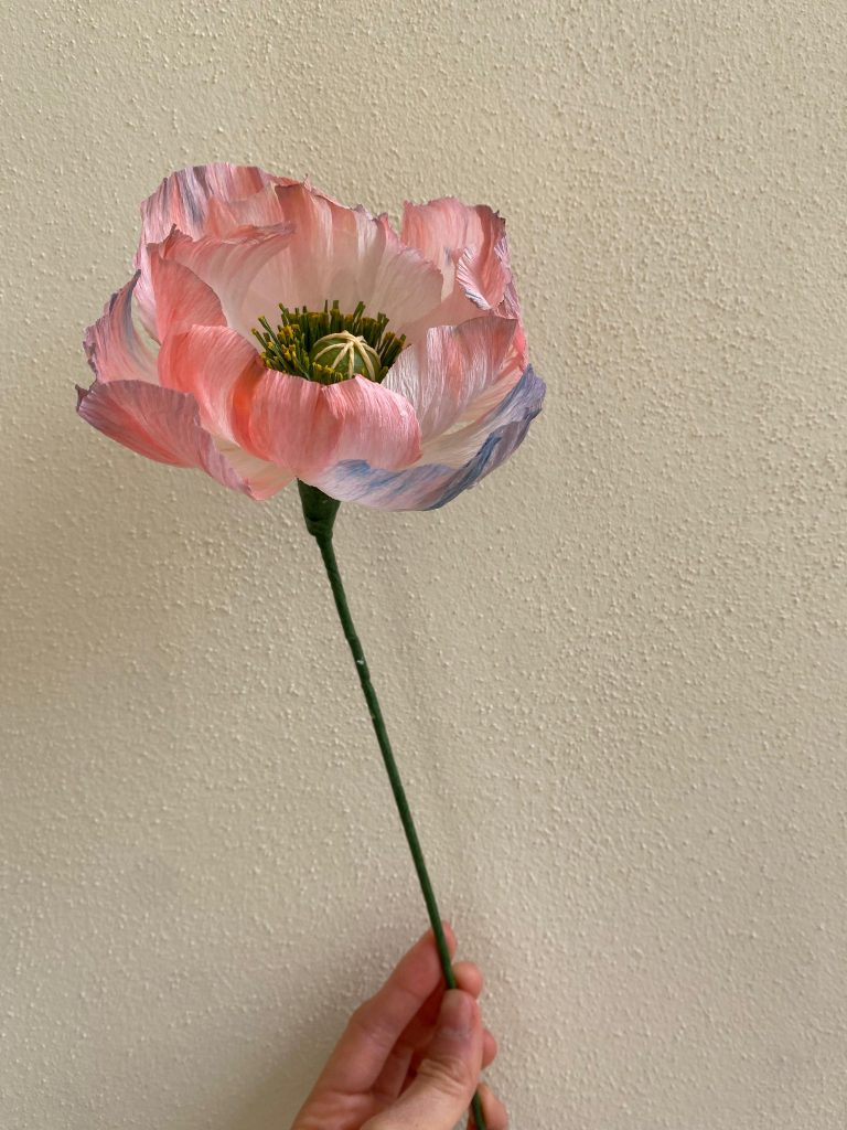Pastellrosa-Blau (12