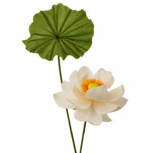 Handgefertigte Lotusblüte – Minimalistische Deko für Ihre Cozy-Corner & Leseecke