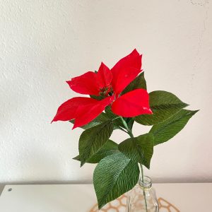 Handgefertigter Weihnachtsstern aus Krepppapier – Ein strahlendes Rot für deine Winterzeit