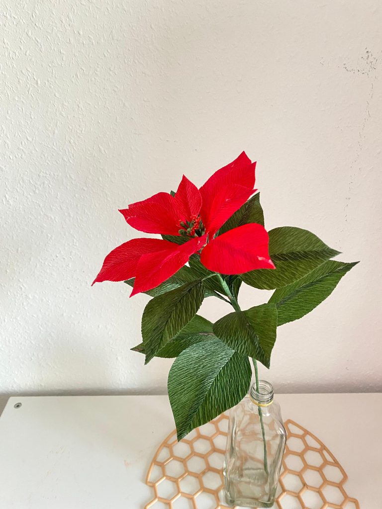 Weihnachtsstern