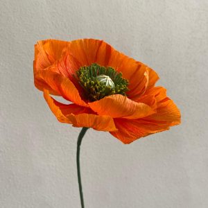 Handgefertigter Mohn aus Krepppapier – Einzigartige Blütenpracht in Wunschfarben