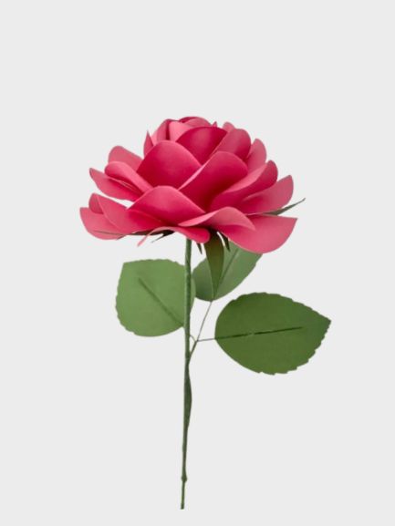 Papierblume_Kamelia_Kimspaperflower