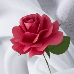 Handgemachte Kamelie Papierblume