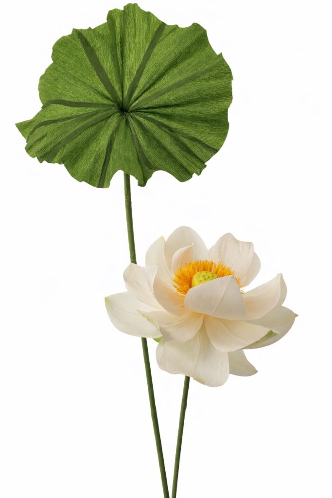 handgemachte_Seerose