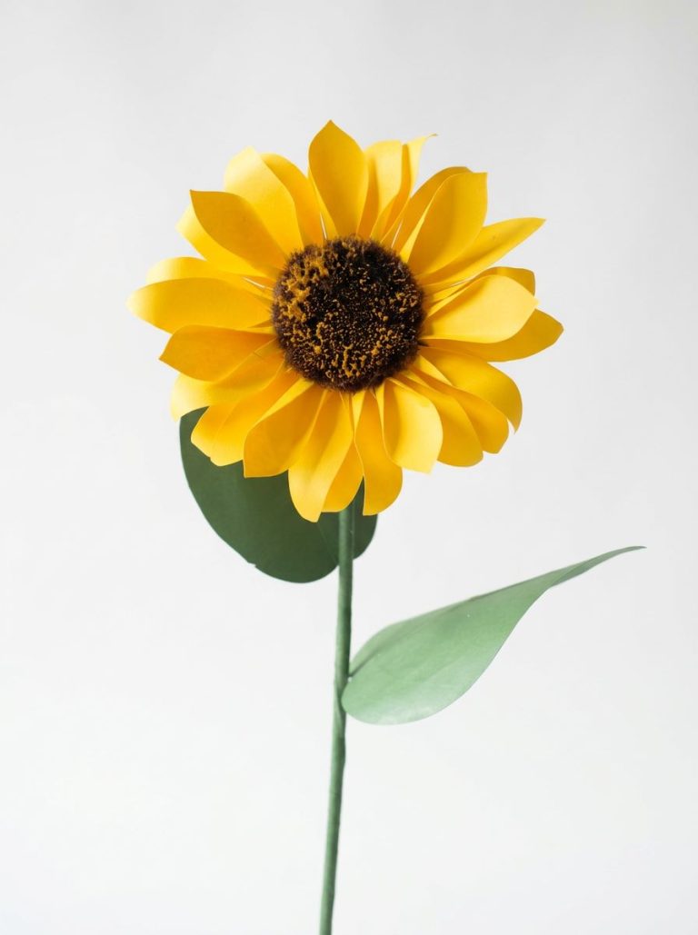 sonnenblume_handgefertigte_Papierblume_Kimspaperflower