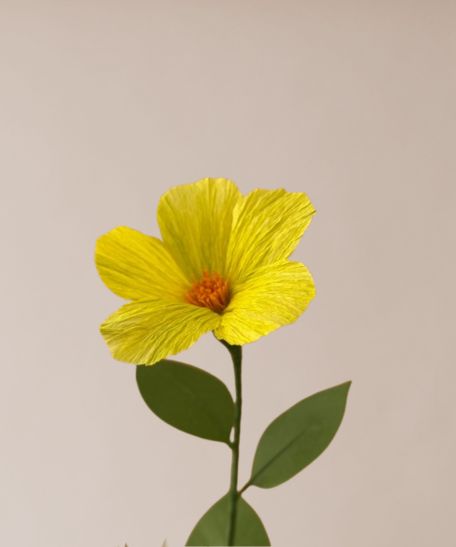 Wildblume