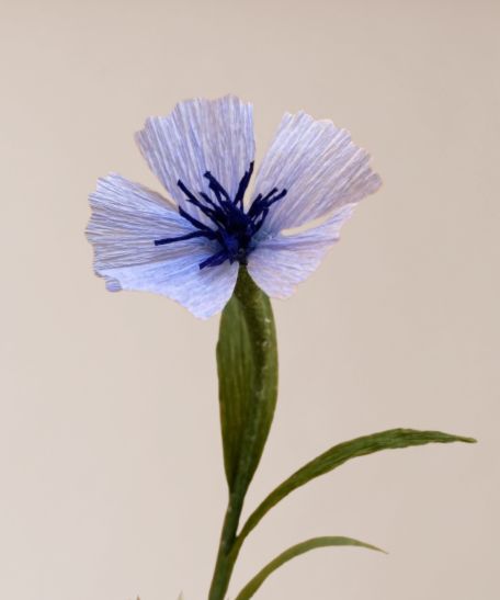 Wildblume